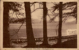 PALADRU   ( ISERE )  LES BORDS DU LAC - Paladru