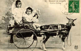 NOUVELLE AQUITAINE SOUVENIR DU LIMOUSIN GRACIEUX ATTELAGE ENFANTS CHEVRE 1913 - Poitou-Charentes