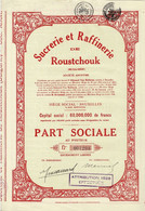 Titre De 1928 - Sucrerie Et Raffinerie De Roustchouk - Bulgarie - - Industrie