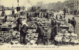 62 Boulogne Sur Mer Le Triage Du Poisson Avant La Criée - Boulogne Sur Mer