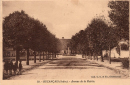- 36 - BUZANCAIS (Indre) - Avenue De La Mairie. - - Other & Unclassified