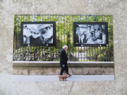 CPM Paris Homme Promenant Son Chien Yorkshire Et Photo Expo Hommage Au Personnel Soignant Avril 2019 ( Période Covid ) - Santé