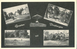 Driebergen, Groeten Uit Driebergen    (Een Raster Op De Kaart Is Veroorzaakt Door Het Scannen; De Afbeelding Is Helder) - Driebergen – Rijsenburg