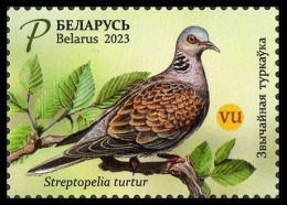 2023 Belarus 1485 Birds - Doves 3,50 € - Pics & Grimpeurs