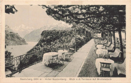 SUISSE - S12342 - Seelisberg - Hôtel Sonnenberg - Blick V. D. Terrasse Auf Bristenstock - L10 - Seelisberg