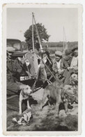 Photo Voiture Peugeot 301 & Chasseurs , Gibier, Chiens - Cars