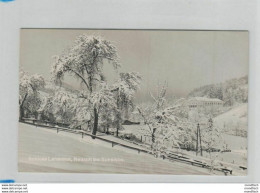 Neustift Bei Scheibbs Im Winter 1950 - Schloss Lehenhof - Scheibbs