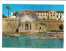 VISTA DEL MOLINO DE LA ALBOLAFIA / VIEW OF THE ALBOLAFIA WINDMILL.- CORDOBA.- ANDALUCIA.- ( ESPAÑA ) - Córdoba