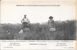 Effet De La Cianamide En Poudre Huilée Sur Blé Expérience Organisée Par MM GOUBEAUX Chez .......à TONNERRE - Cultures