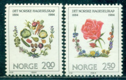 1984 Horticulture,Fruits,vegetables,spices,Rose,flowers,Norway,Mi.906,MNH - Légumes