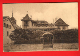 DAL-20 Saint-Blaise.  Hotel Pension Du CHEVAL-BLANC   Cachet St.-Blaise 1914  Vers Allemagne. Institut Graphique 5179 - Saint-Blaise