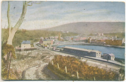 Bantry, Co. Cork, 1905 Postcard, Showing Railway Station - Cork