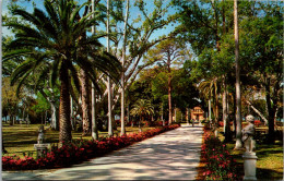 Florida Sarasota Ringling Residence Azaleas Along Drive - Sarasota