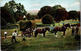 (3 P 37) Germany ?  (colorised - Very Old) Farming - Cultures