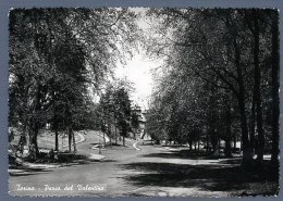 °°° Cartolina - Torino Parco Del Valentino Viaggiata °°° - Parcs & Jardins