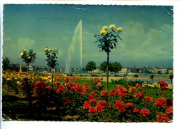 CPSM/CPM Dentelée 10.5 X 15 Suisse GENEVE Les Roses Du Quai De Cologny Et Le Jet D'eau (120 M) - Cologny