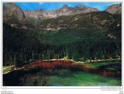 LAGO  DI  TOVEL ( LAGO  ROSSO ) (TN):  DOLOMITI  DI  BRENTA  -  FG - Wassertürme & Windräder (Repeller)