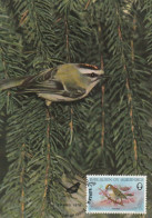 Carte Maximum - Guernsey - Firecrest - Roitelet 1978 - Mussen