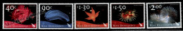 Nouvelle Zelande  New Zealand Ross Dependency 2003 Yvert 90-94, Sea Fauna - MNH - Neufs