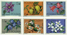 94374 MNH POLONIA 1984 CLEMATIDES - Autres & Non Classés