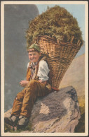 Wildheuer, 1930 - Photoglob AK - Wil