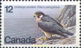 33329 MNH CANADA 1978 ESPECIES EN PELIGRO DE EXTINCION - Otros & Sin Clasificación