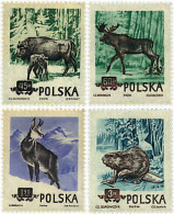 61554 MNH POLONIA 1954 ANIMALES DE LOS BOSQUES DE POLONIA - Autres & Non Classés