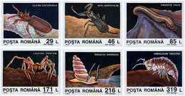 76830 MNH RUMANIA 1993 FAUNA DE LA GRUTA DE MOVILE - Spiders