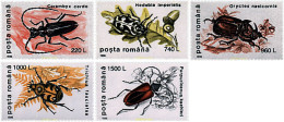 62539 MNH RUMANIA 1996 INSECTOS - Spinnen