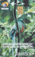 Guatemala Phonecard Chip - - - Bird - Guatemala