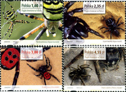 315141 MNH POLONIA 2013 ARAÑAS - Andere & Zonder Classificatie