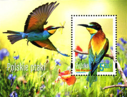 327611 MNH POLONIA 2014 AVES DE POLONIA - Otros & Sin Clasificación