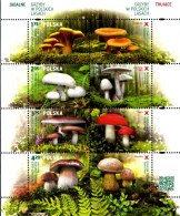 328188 MNH POLONIA 2014 SETAS - Otros & Sin Clasificación