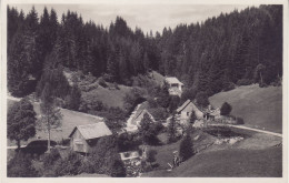 Hoellental -   Postcard   Used   ( L 356 ) - Höllental