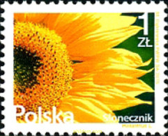 353573 MNH POLONIA 2015 FLOR AMARILLA - Sonstige & Ohne Zuordnung