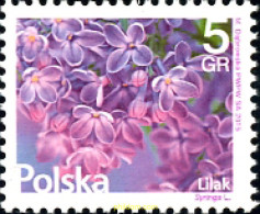 353574 MNH POLONIA 2015 FLOR - Autres & Non Classés