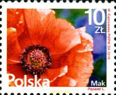 363759 MNH POLONIA 2016 FLOR - Otros & Sin Clasificación