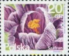 364372 MNH POLONIA 2016 FLORES - Altri & Non Classificati