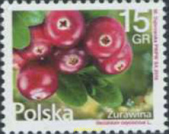 370858 MNH POLONIA 2016 - Autres & Non Classés