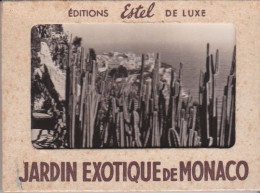 Carnet De 20 Photos : Jardin Exotique De Monaco - Jardin Exotique