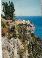 CARTOLINA  PRINCIPAUTE DE MONACO-LE ROCHER DE MONACO,LE MUSEE OCEANOGRAPHIQUE VUS DU ARDIN EXOTIQUE-VIAGGIATA 1969 - Oceanografisch Museum