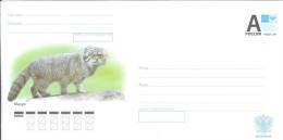 Russia 2012 Fauna Cat Cats Domestic - Interi Postali