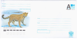 Russia 2014 Leopard Cat Cats - Entiers Postaux