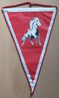 Norrkoping HC Vita Hästen Sweden  Ice Hockey Club PENNANT, SPORTS FLAG ZS 4/2 - Invierno