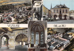 54-VEZELISE- MULTIVUES - Vezelise