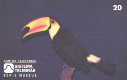 Brazil:Brasil:Used Phonecard, Sistema Telebras, 20 Units, Bird, Tucan, 1996 - Brasilien