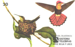 Brazil:Brasil:Used Phonecard, Sistema Telebras, 20 Units, Bird, Chrysolampis Mosquitus, 1997 - Brasilien