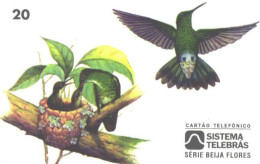 Brazil:Brasil:Used Phonecard, Sistema Telebras, 20 Units, Bird, Amazilia Versicolor Versicolor, 1997 - Brasilien