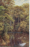 A R QUINTON - SALMON 1526 - THE SILENT POOL, ALBURY, Nr GUILDFORD - OIL FASCISM - Quinton, AR