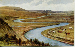 A R QUINTON - SALMON 3330 - THE CUCKMERE VALLEY, SEAFORD - Quinton, AR